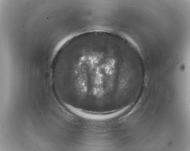 X0000089881310200707262202