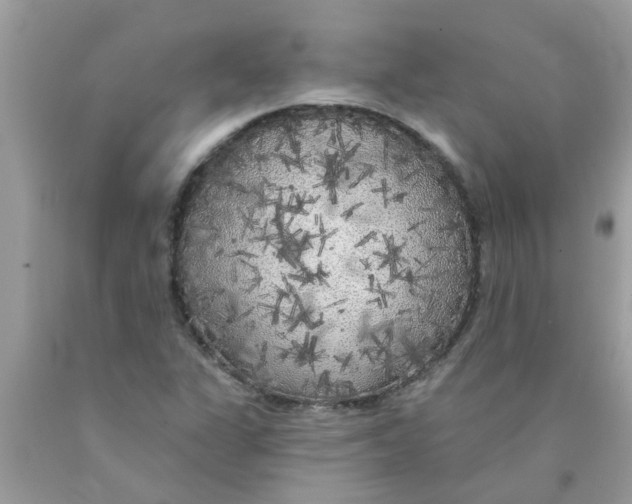 X0000089881311200707262202