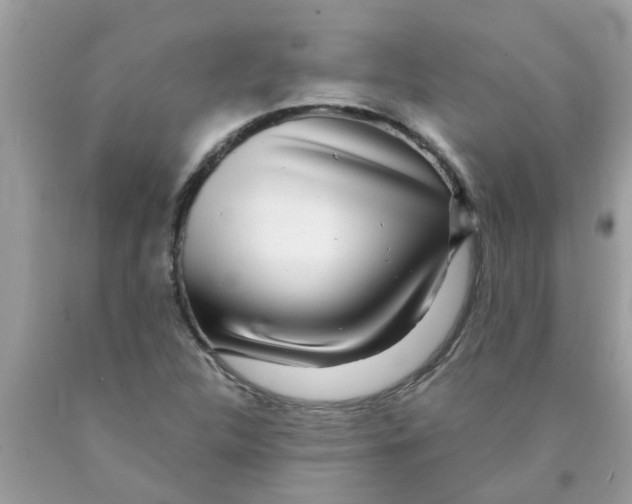 X0000089881312200707262202