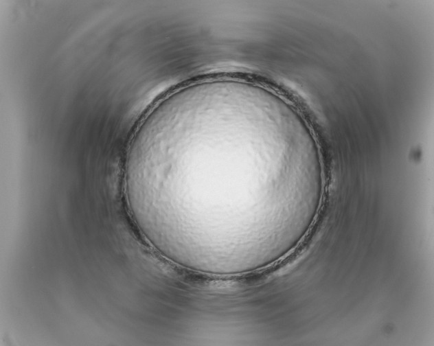 X0000089881313200707262202