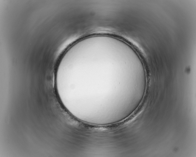 X0000089881317200707262202