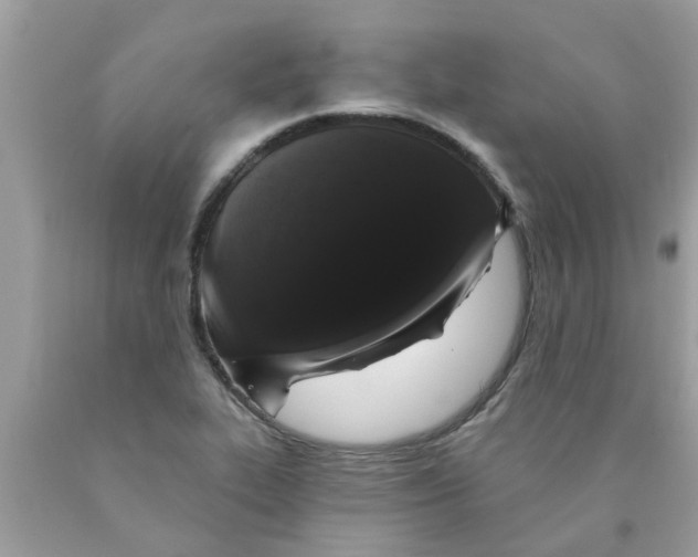 X0000089881319200707262202