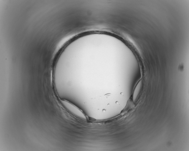 X0000089881320200707262202