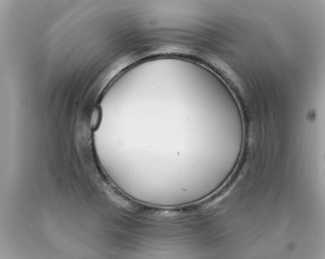 X0000089881321200707262202