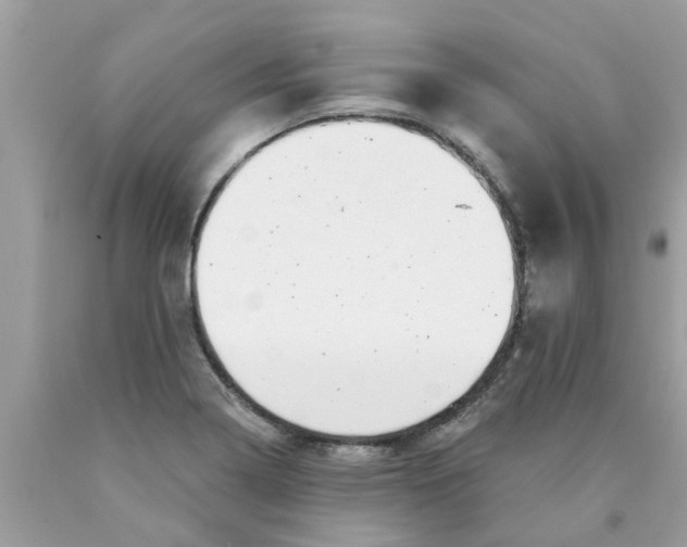 X0000089881322200707262202