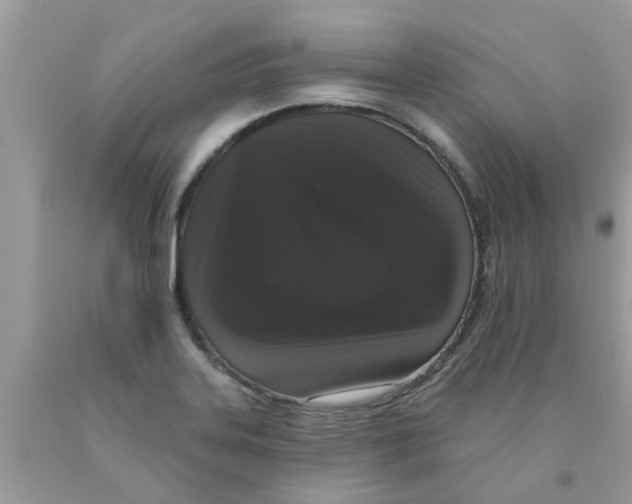 X0000089881323200707262202