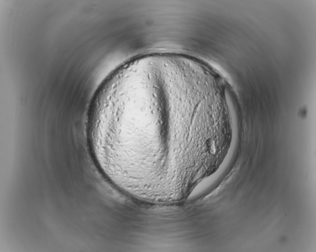 X0000089881325200707262202