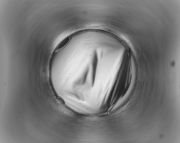 X0000089881328200707262202