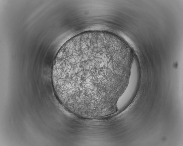 X0000089881329200707262202