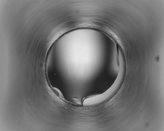 X0000089881330200707262202