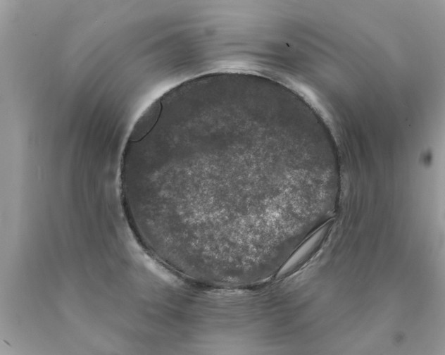 X0000089881331200707262202