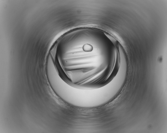 X0000089881332200707262202