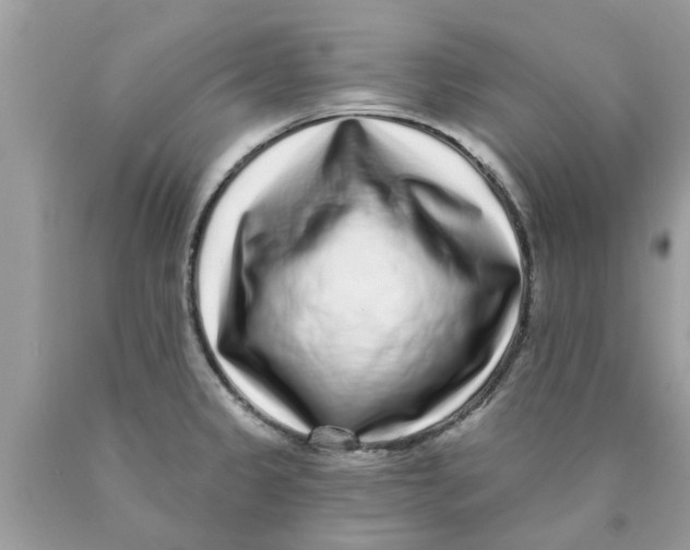 X0000089881333200707262202