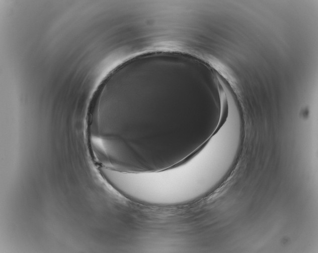 X0000089881334200707262202