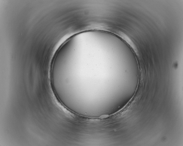 X0000089881339200707262202