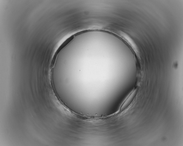 X0000089881340200707262202