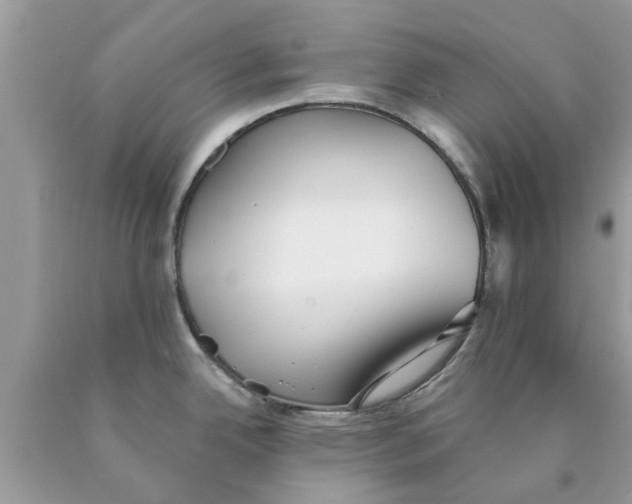 X0000089881342200707262202