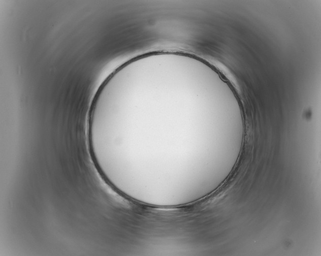 X0000089881343200707262202