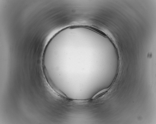 X0000089881344200707262202