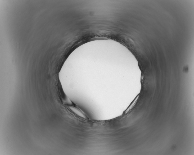 X0000089881345200707262202