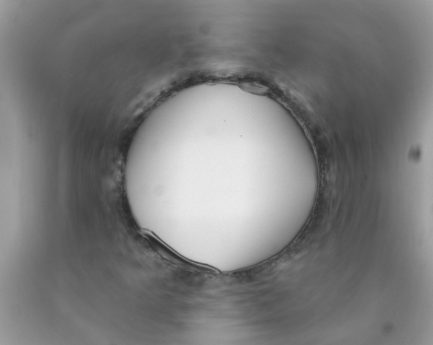 X0000089881349200707262201