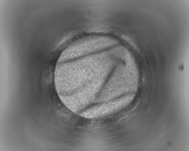 X0000089881350200707262201