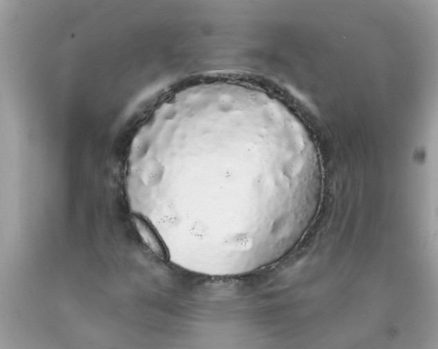 X0000089881351200707262201