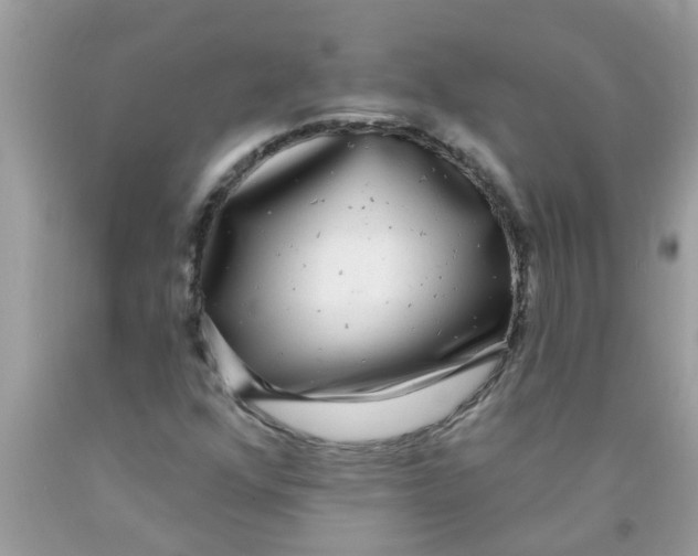 X0000089881352200707262201