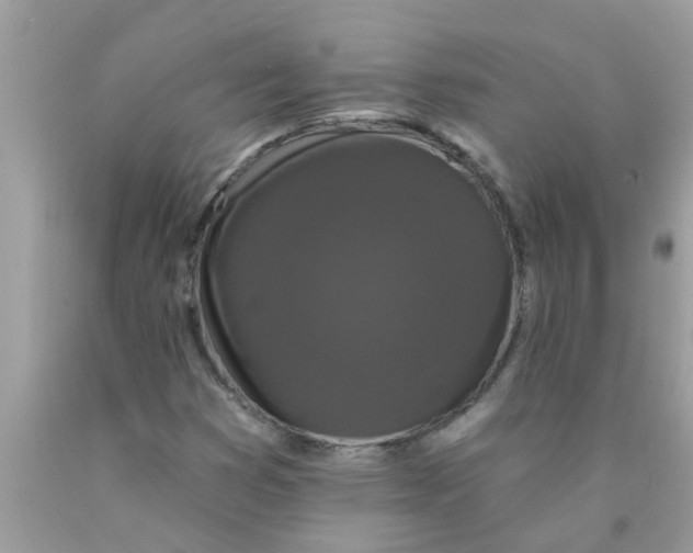 X0000089881353200707262201