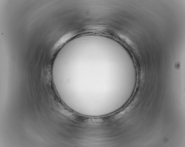 X0000089881354200707262201