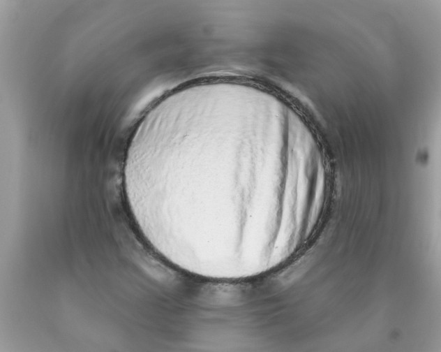 X0000089881355200707262201