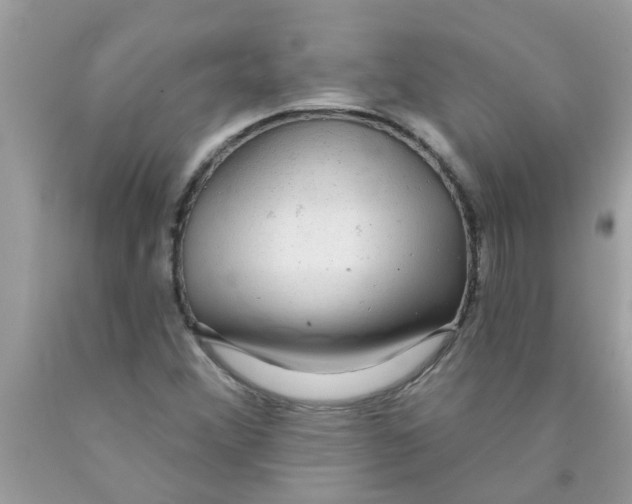 X0000089881356200707262201