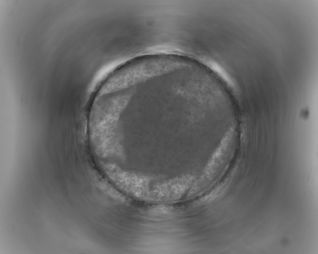 X0000089881358200707262201