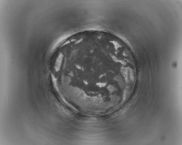 X0000089881359200707262201