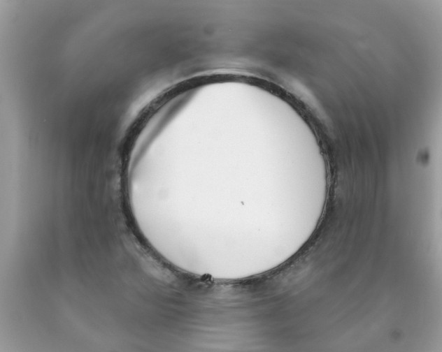 X0000089881360200707262201