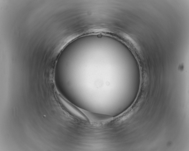 X0000089881361200707262201