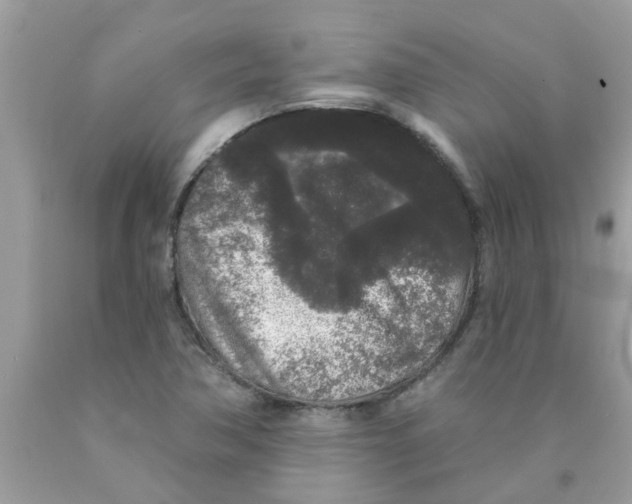 X0000089881362200707262201