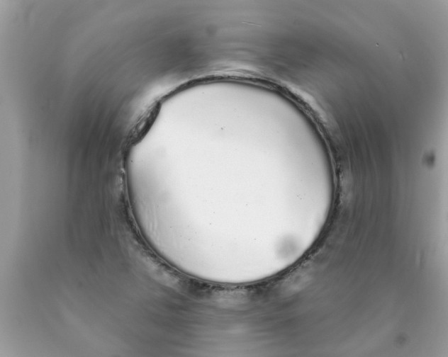 X0000089881363200707262201