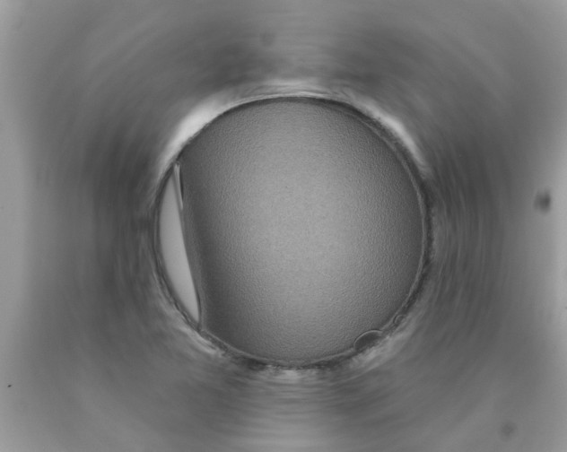 X0000089881365200707262201