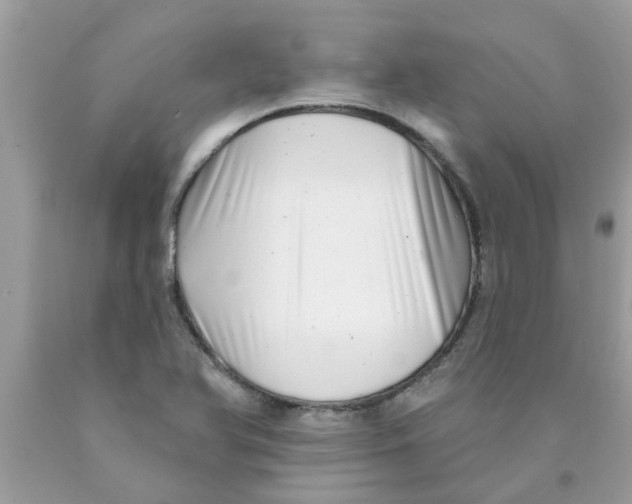 X0000089881366200707262201