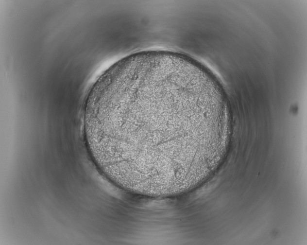 X0000089881367200707262201