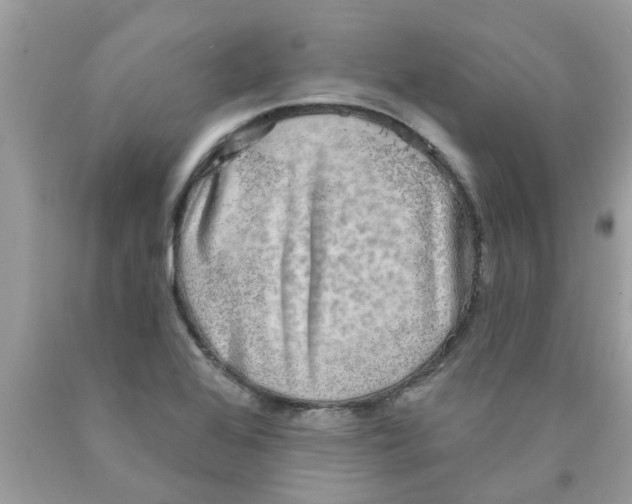 X0000089881368200707262201