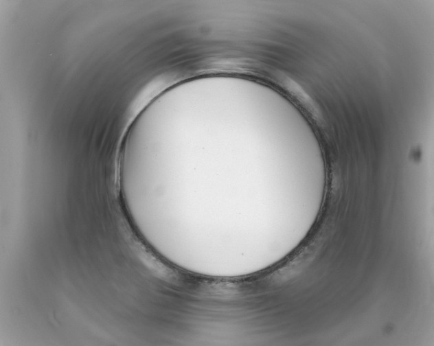 X0000089881370200707262201