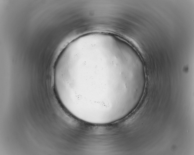 X0000089881371200707262201