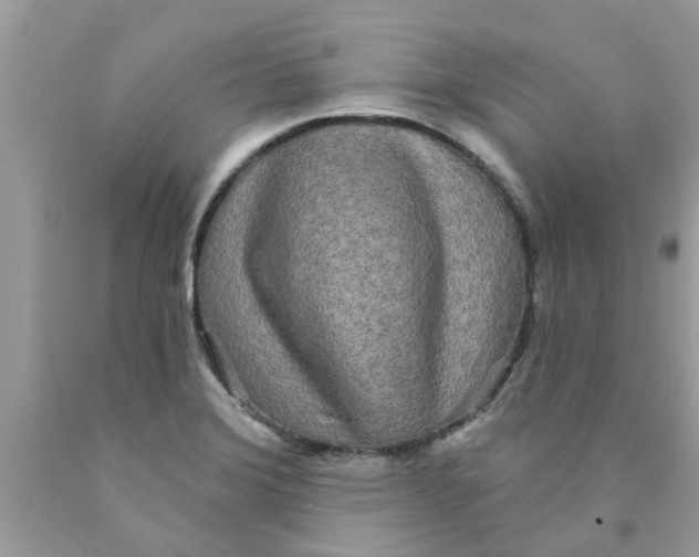 X0000089881372200707262201