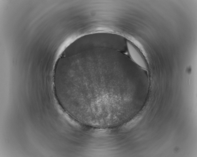 X0000089881373200707262201