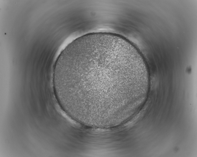 X0000089881374200707262201