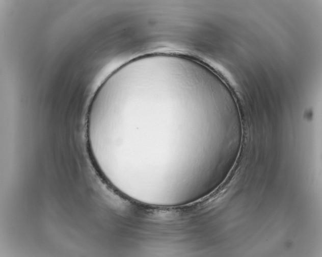 X0000089881375200707262201