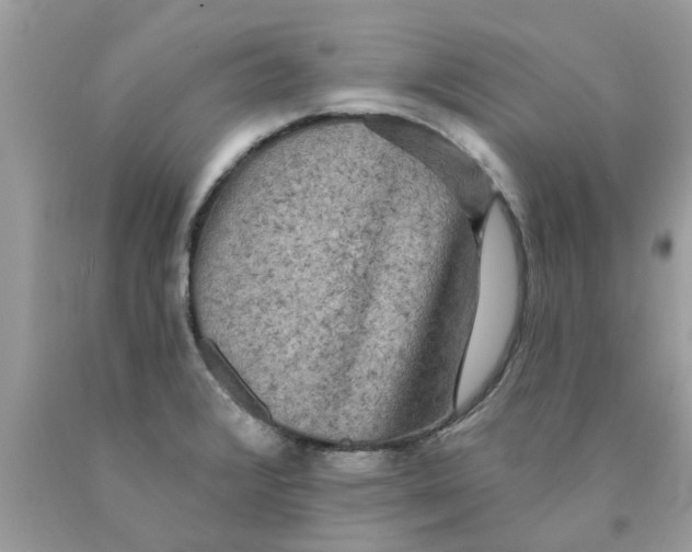 X0000089881376200707262201