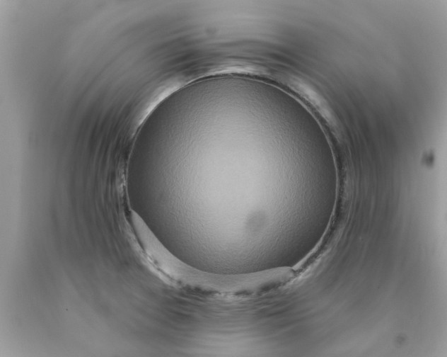 X0000089881377200707262201